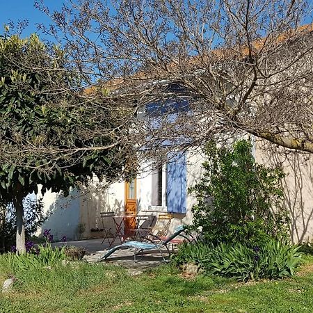 Petite Maison Refaite A Neuf Dans Mas Du 19Eme Siecle Арль Экстерьер фото