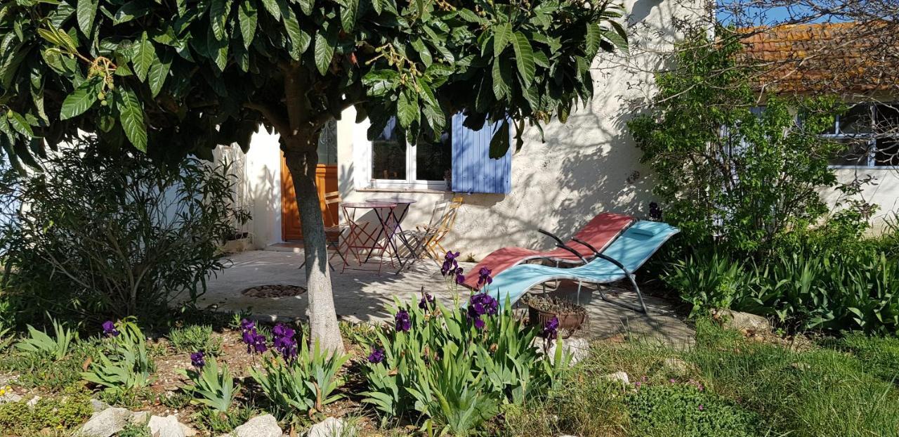 Petite Maison Refaite A Neuf Dans Mas Du 19Eme Siecle Арль Экстерьер фото