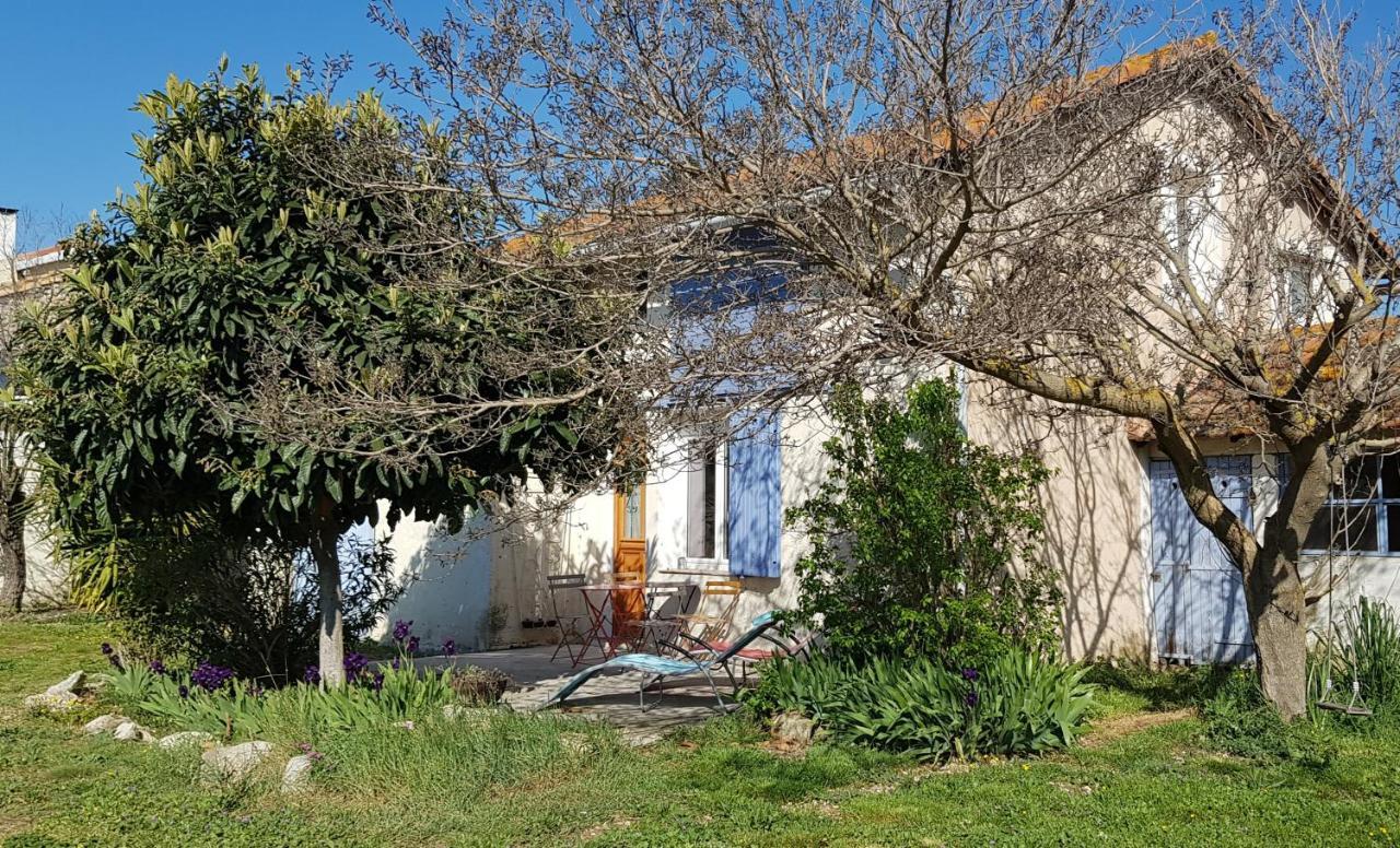 Petite Maison Refaite A Neuf Dans Mas Du 19Eme Siecle Арль Экстерьер фото